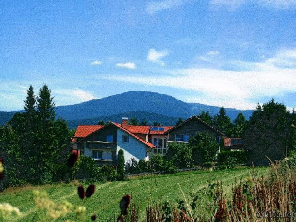 Pension Landhaus Hochfeld Zwiesel Esterno foto